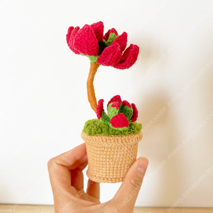 Crochet Campfire Succulent | Handmade Red Crassula Plant | Amigurumi Succulent Pot | Cute Desk Plant Gift
