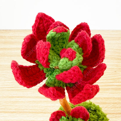 Crochet Campfire Succulent | Handmade Red Crassula Plant | Amigurumi Succulent Pot | Cute Desk Plant Gift