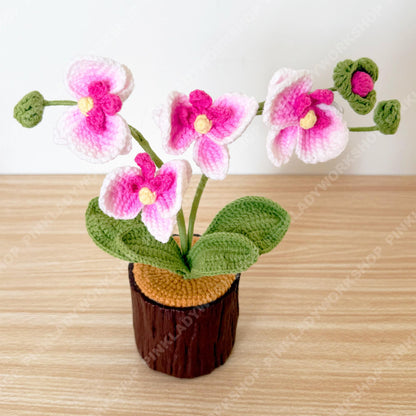 Pre-order Crochet Orchid Plant | Handmade Pink Orchid Flower with Plastic Pot | Amigurumi Potted Orchid Decor | Gift for Mom