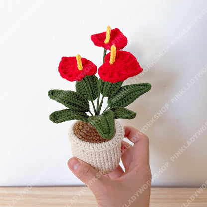 Handmade Crochet Anthurium Plant | Red Laceleaf Flower Amigurumi, Tropical Decor