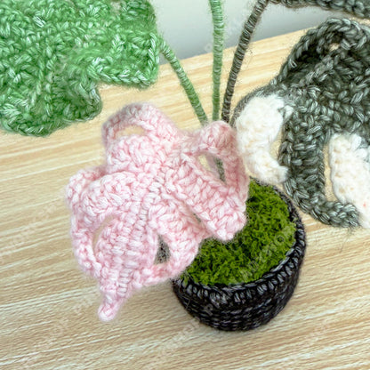 Handmade Crochet Monstera Plant | Yarn Amigurumi, Black Pot