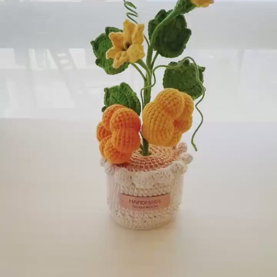 Pre-order Crochet Pumpkin Flower Pot: Handmade Fall Decor