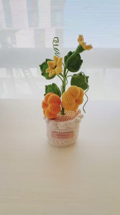 Pre-order Crochet Pumpkin Flower Pot: Handmade Fall Decor